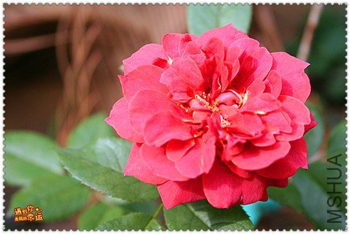 ��Ƭ 108_����.jpg