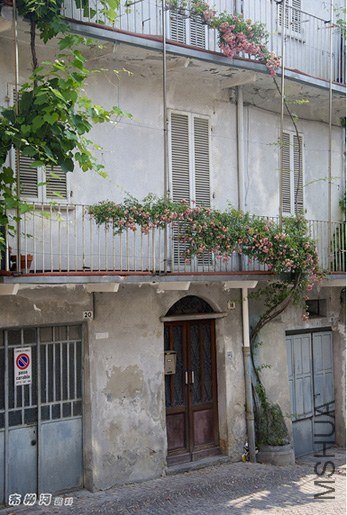 Ӧ�����޼����˺ܶ�֦���������������͵�