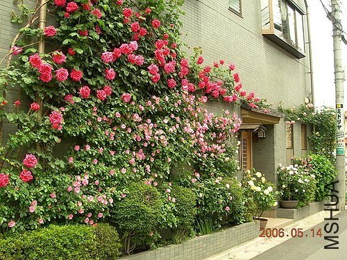 ���ڻ����ĸ�л