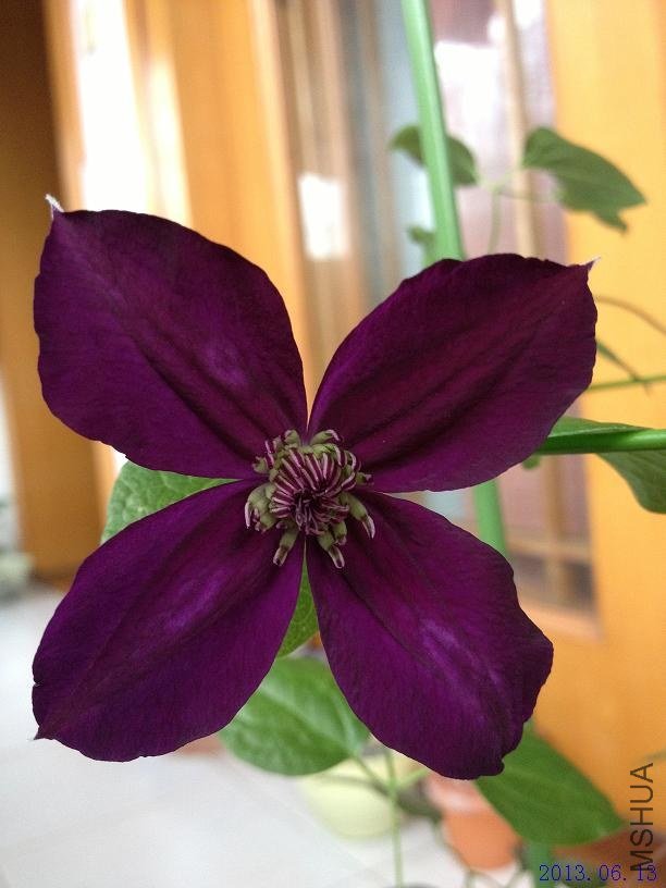 ���տ��� 2013.06.13.JPG