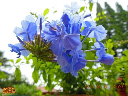 ��Ƭ 047_����.jpg