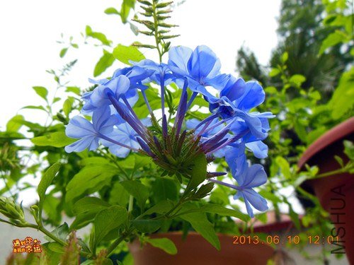 ��Ƭ 048_����.jpg