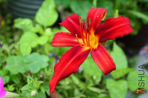 ��Ƭ 017_����.jpg