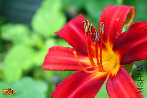 ��Ƭ 020_����.jpg