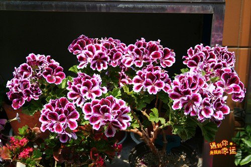 ��Ƭ 044_����.jpg