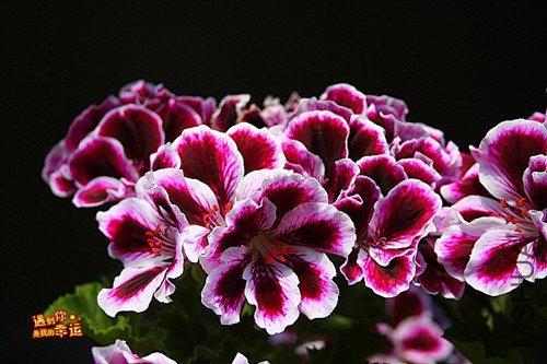 ��Ƭ 049_����.jpg