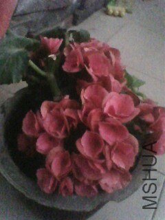 IMG0875A.jpg