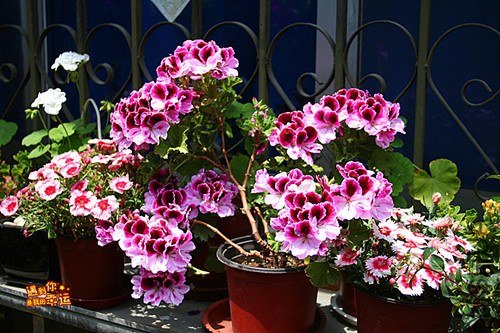 ��Ƭ 045_����.jpg