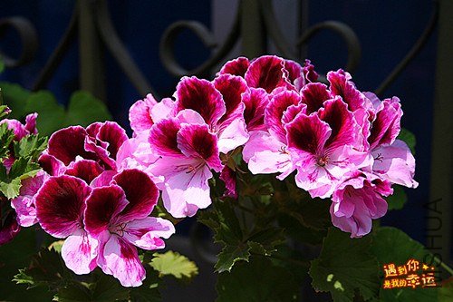 ��Ƭ 047_����.jpg