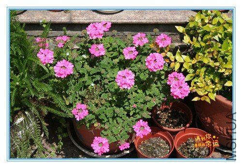 ��Ƭ 062_����.jpg