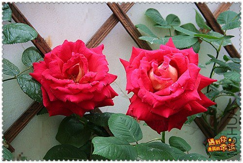 ��Ƭ 103_����.jpg