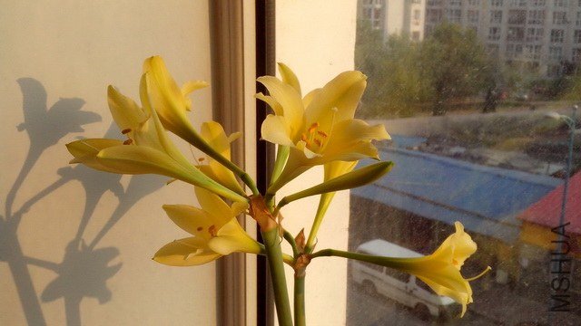 IMG_20130609_052856.jpg