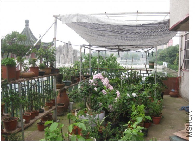 QQͼƬ20130613214424.jpg