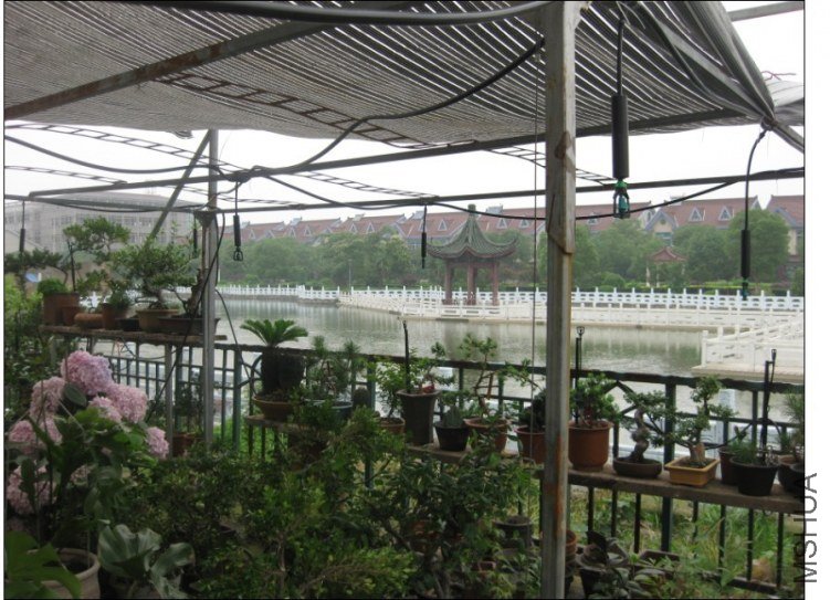QQͼƬ20130613214428.jpg