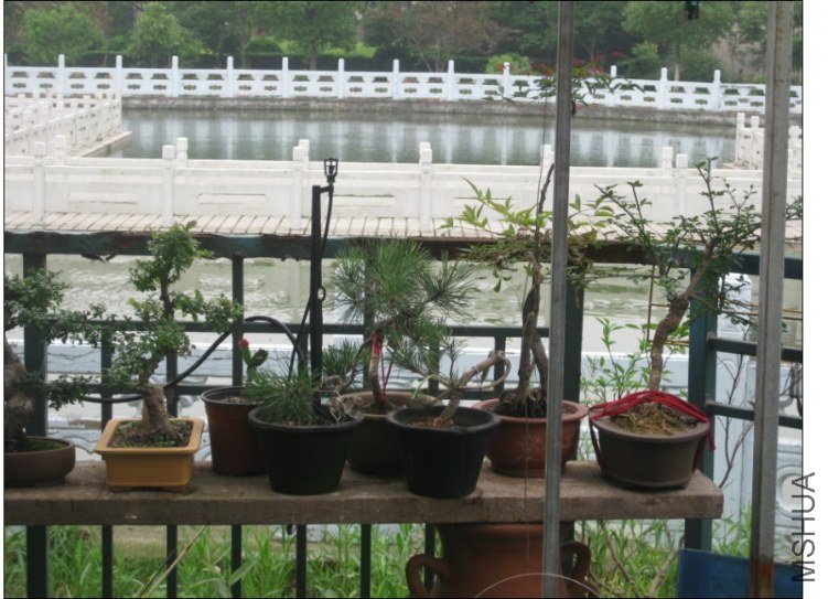 QQͼƬ20130613214431.jpg