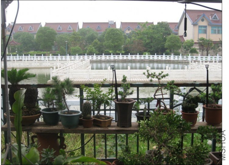 QQͼƬ20130613214434.jpg