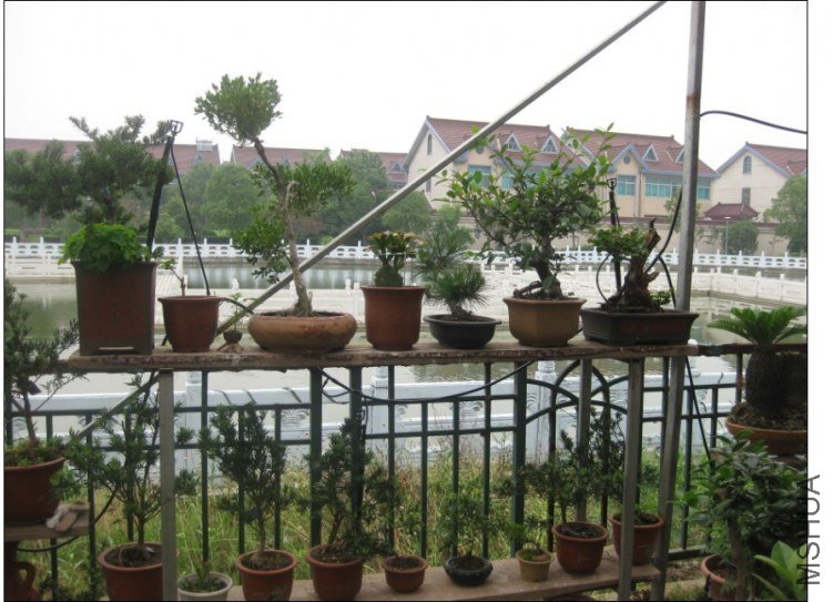 QQͼƬ20130613214449.jpg