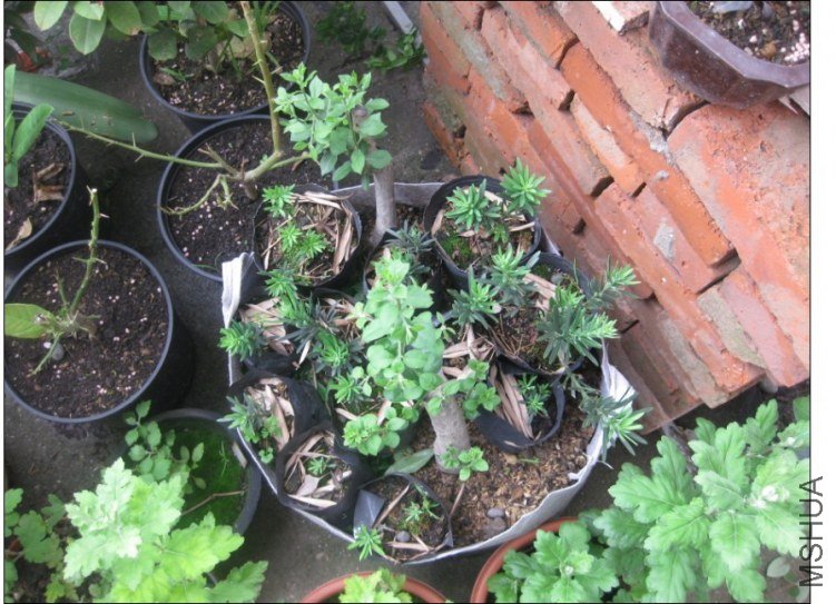 QQͼƬ20130613214442.jpg