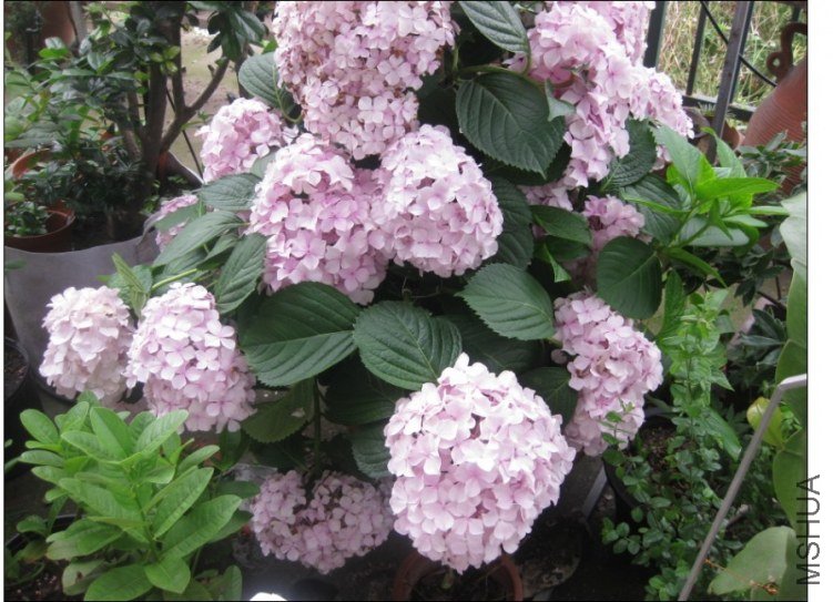 QQͼƬ20130613214440.jpg