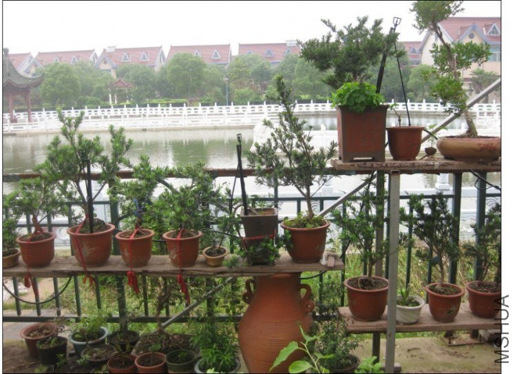 QQͼƬ20130613214452.jpg