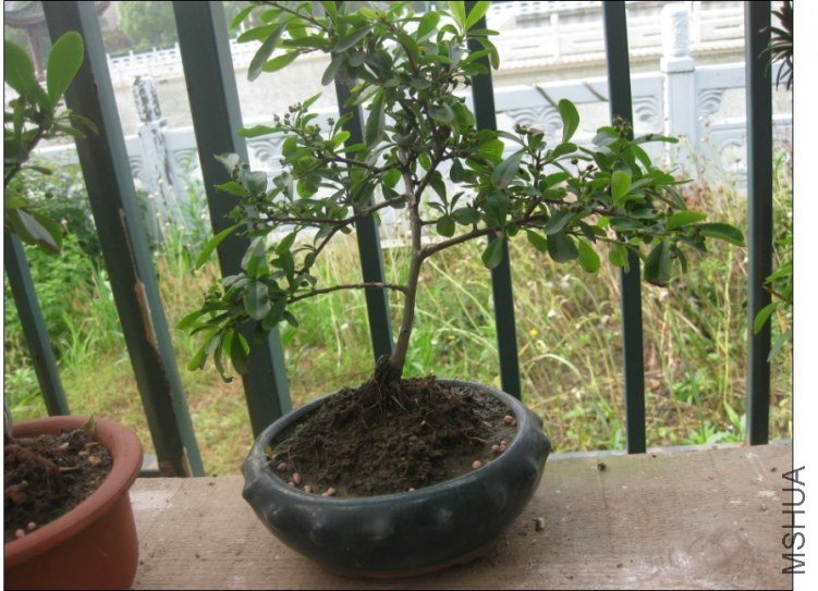 QQͼƬ20130613214456.jpg