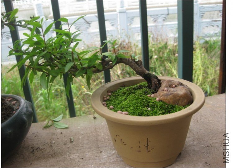 QQͼƬ20130613214459.jpg