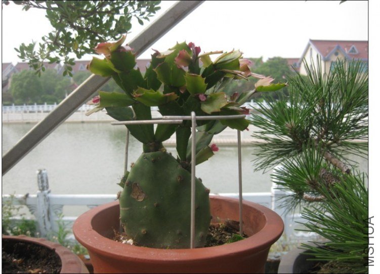 QQͼƬ20130613214505.jpg