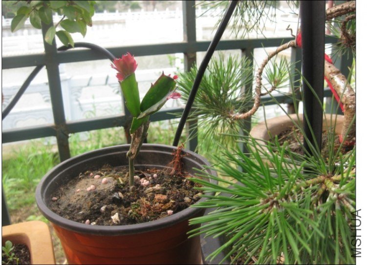 QQͼƬ20130613214507.jpg