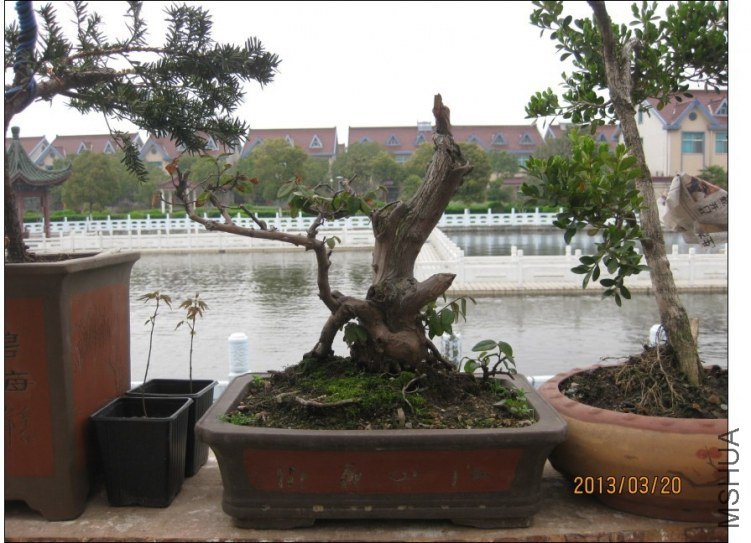 QQͼƬ20130613214516.jpg
