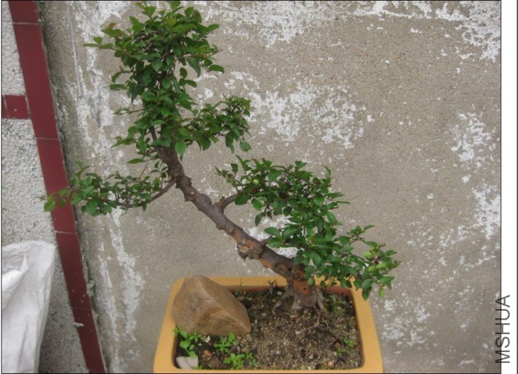 QQͼƬ20130613214417.jpg