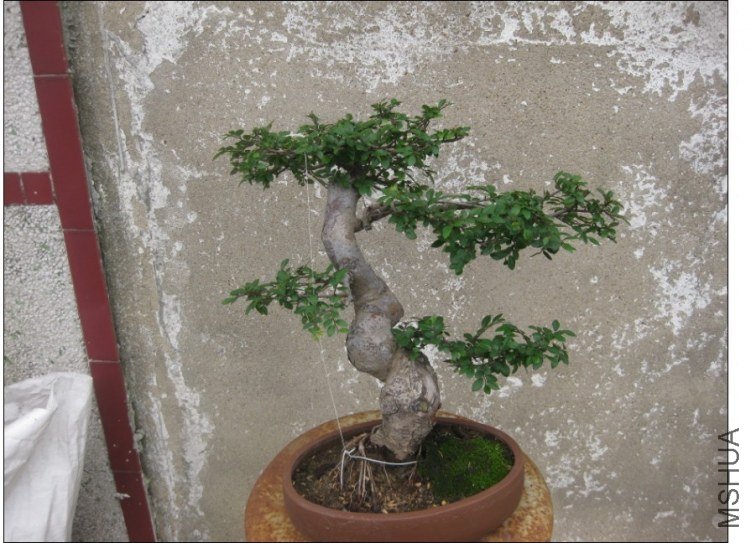 QQͼƬ20130613214420.jpg
