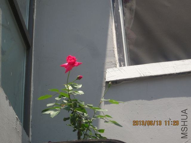 �� ɢ�� 016_1.jpg