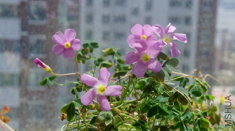 DSC03414.jpg