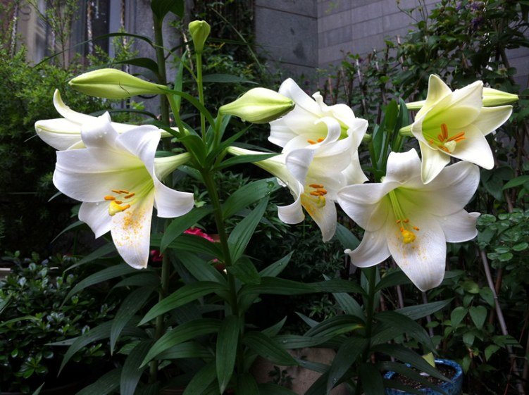 �ٺϣ����ڣ�������20130614.jpg