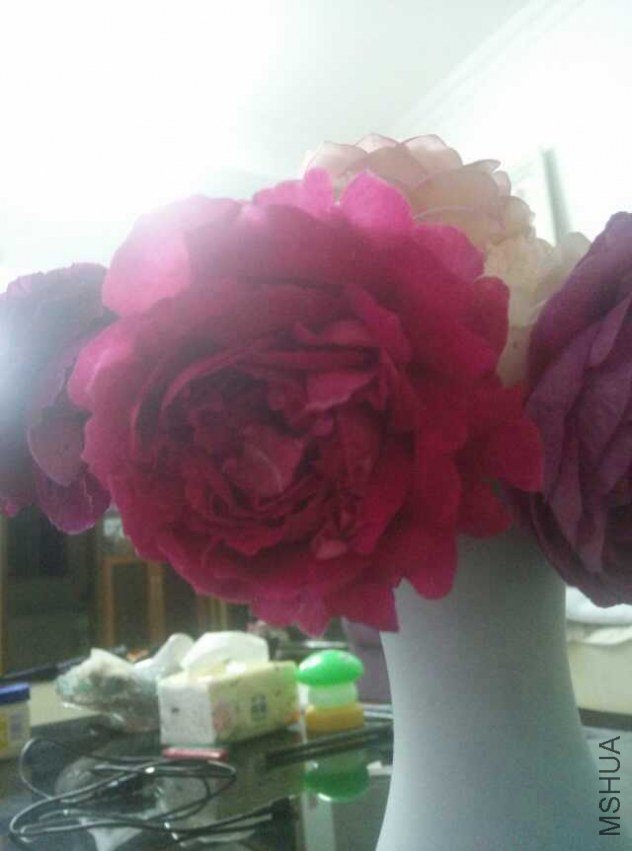 ����Ʒ�֣�