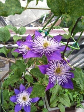 ���� ��Ƭ 034.jpg