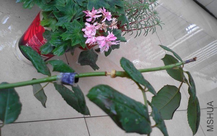 QQͼƬ20130614141130.jpg