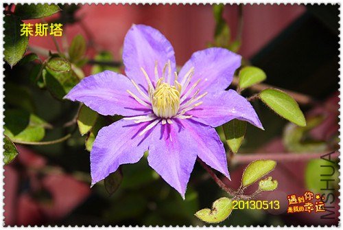 ��Ƭ 170a_����.jpg