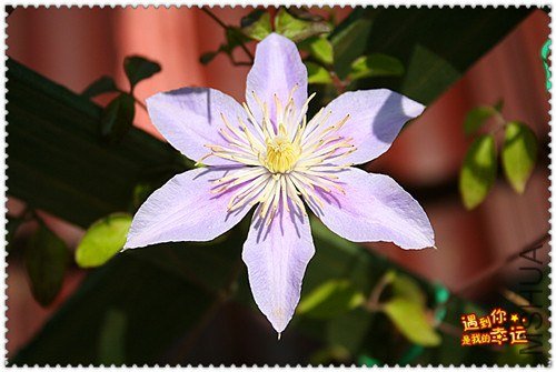 ��Ƭ 170b_����.jpg