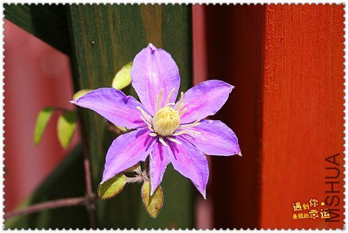 ��Ƭ 170c_����.jpg