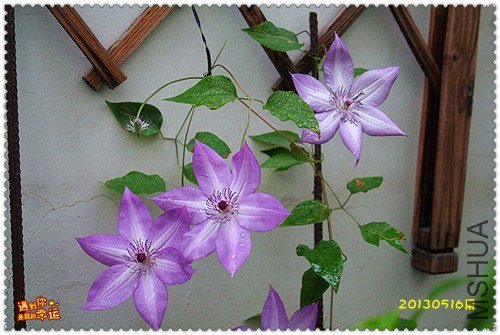 ��Ƭ 171d_����.jpg