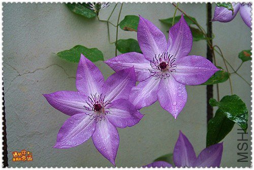 ��Ƭ 171f_����.jpg