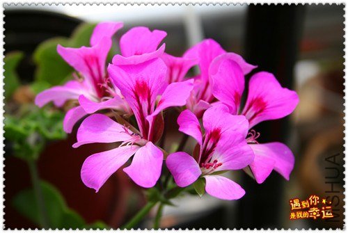 ��Ƭ 170_����.jpg