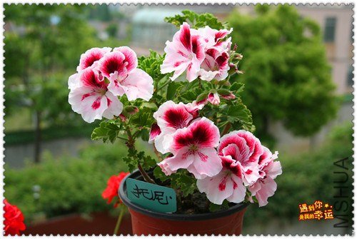 ��Ƭ 173_����.jpg