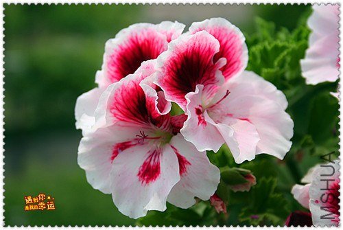 ��Ƭ 175_����.jpg