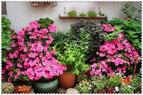 ��Ƭ 027_����.jpg