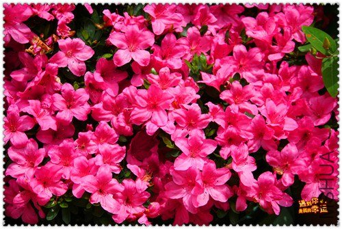 ��Ƭ 029_����.jpg