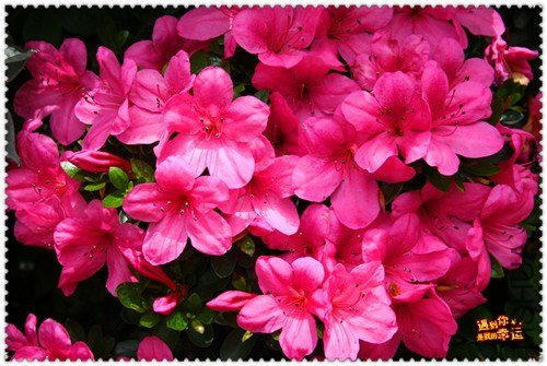 ��Ƭ 031_����.jpg