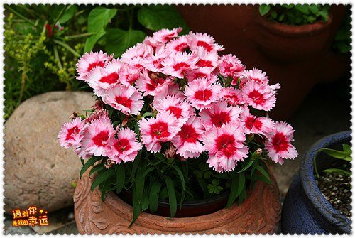 ��Ƭ 023_����.jpg