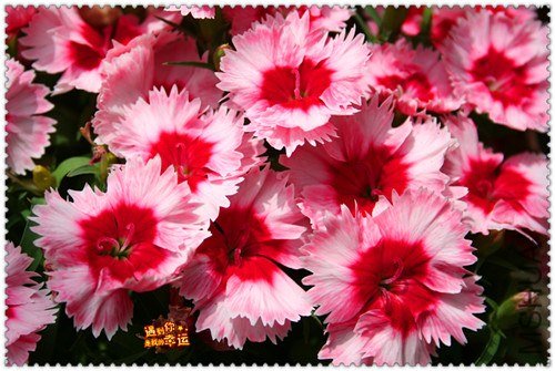 ��Ƭ 025_����.jpg